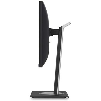 ViewSonic 24" Advanced Ergonomics Business Monitor [VG2455]
