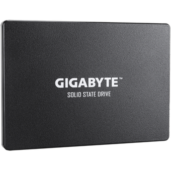 GIGABYTE SSD 1TB [GP-GSTFS31100TNTD]