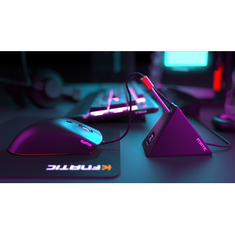 Fnatic FLICK 2 Gaming Mouse