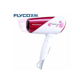 FLYCO FH6651 Hair Dryer
