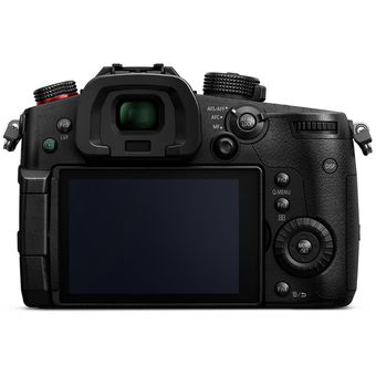 Panasonic LUMIX GH5S Body