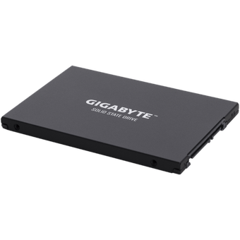 GIGABYTE UD PRO 256GB [GP-GSTFS30256GTTD]