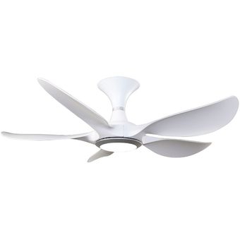 Rubine Raffica Series, 45" Ceiling Fan [RCF-RAFFICA45-5BL]