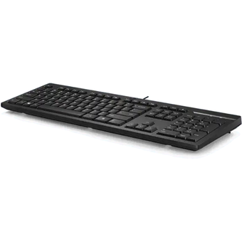 HP 125 Wired Keyboard [266C9AA]