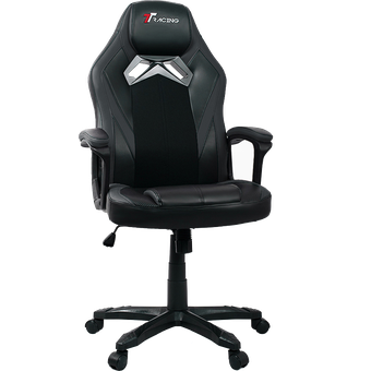 TTRacing Duo V3 Gaming Chair