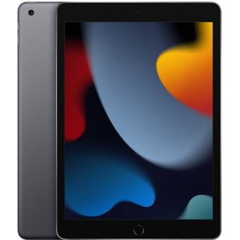 Apple iPad 10.2 (2021) (256GB) Wi-Fi + Cellular