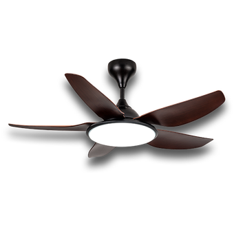 Rezo Venzo 46, Signature Series