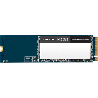 GIGABYTE M.2 SSD 1TB [GM21TB]