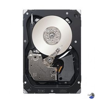 Seagate Cheetah 15K.6,300GB
