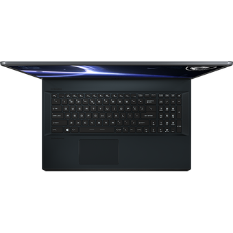 MSI GE76 Raider, 17.3", i9-11980HK, 64GB/2TB [11UH-413]