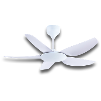 Rezo Zetta 42, Signature Series