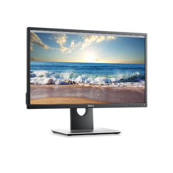 Dell 23" Full HD IPS Professional Monitor [P2317H]