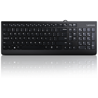 Lenovo 300 USB Keyboard - US English [GX30M39655]