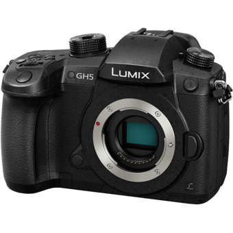 Panasonic Lumix DC-GH5 with 12-35mm f/2.8 Lens