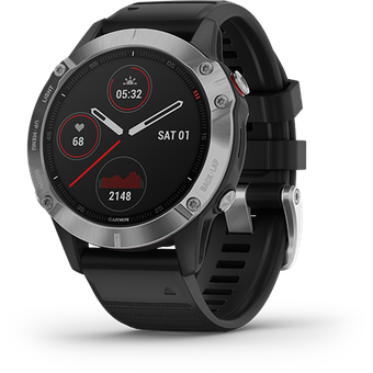 Garmin Fenix 6 (Silver with Black Band)