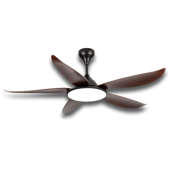 Rezo Venzo 56, Signature Series