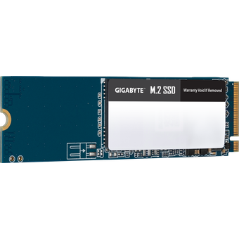 GIGABYTE M.2 SSD 1TB [GM21TB]