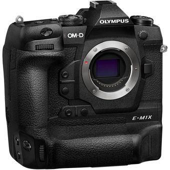 Olympus OM-D E-M1X, M.Zuiko 12-100mm f/4 IS PRO Lens