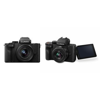 Panasonic LUMIX G100, G Vario 12-32mm F3.5-5.6 ASPH & Tripod Grip