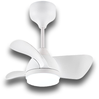 Rezo Venus, Signature Series