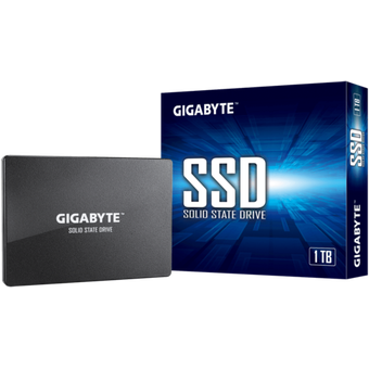 GIGABYTE SSD 1TB [GP-GSTFS31100TNTD]