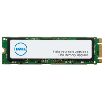 Dell M.2 SATA Class 20 2280 SSD, 256GB [AA615517]