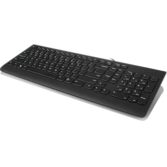 Lenovo 300 USB Keyboard - US English [GX30M39655]