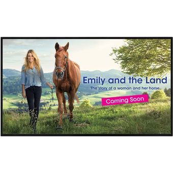 Sharp 43" Professional LCD Monitor [PNHW431]