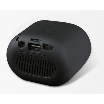 TranYoo B1 Outdoor Speakers