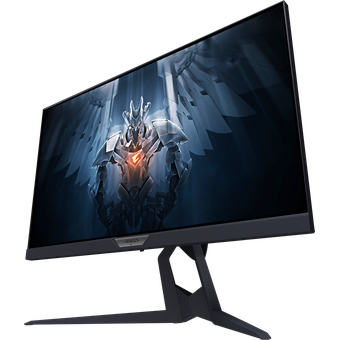 GIGABYTE AORUS FI25F, 24.5" Full HD 240Hz SS IPS Gaming Monitor