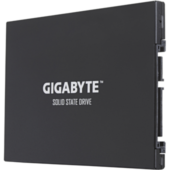 GIGABYTE UD PRO 256GB [GP-GSTFS30256GTTD]
