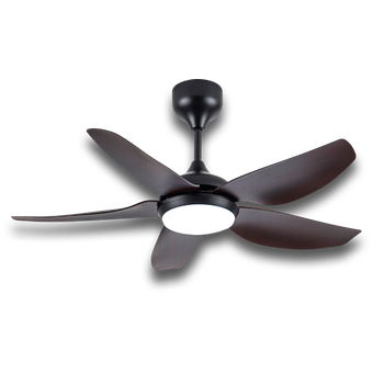 Rezo Aster 42, Signature Series