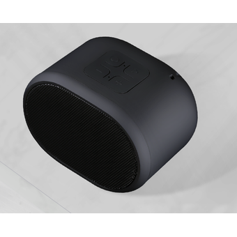 TranYoo B1 Outdoor Speakers