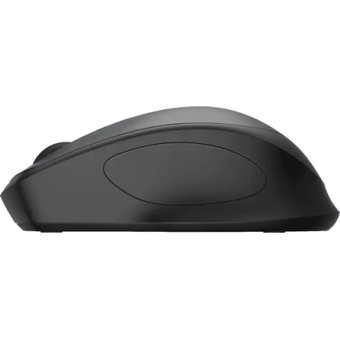 HP 280 Silent Wireless Mouse [19U64AA]