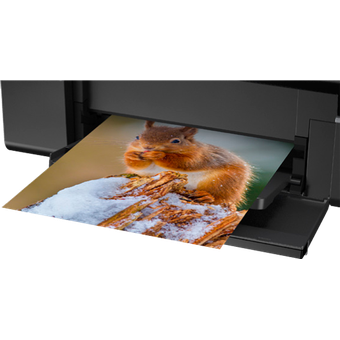 Epson L805 Wi-Fi Photo Ink Tank Printer