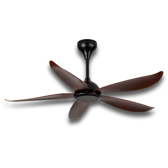 Rezo Axis 56, Signature Series