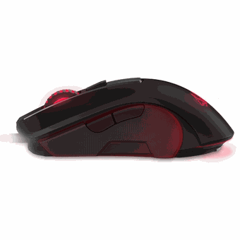 ASUS Cerberus Fortus