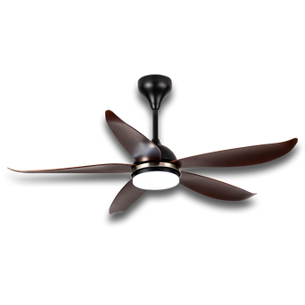 Rezo Costa, Signature Series