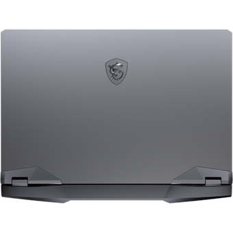MSI Laptop Raider GE66, 15.6'', i9-11980HK, 16GB/2TB [11UG 609]