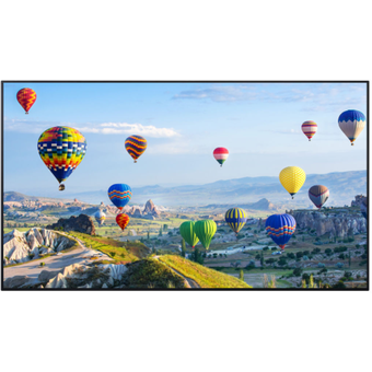 Panasonic 65" SQ1 Series Class 4K UHD LCD Display [TH-65SQ1W]