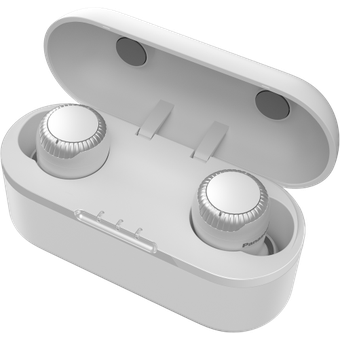 Panasonic True Wireless Earphones RZ-S300