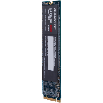 GIGABYTE M.2 PCIe SSD 256GB [GP-GSM2NE8256GNTD]