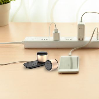 Sardine F2 TWS Wireless Speaker (Gold)