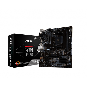 MSI B450M PRO-M2