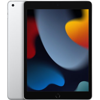 Apple iPad 10.2 (2021) (256GB) Wi-Fi + Cellular