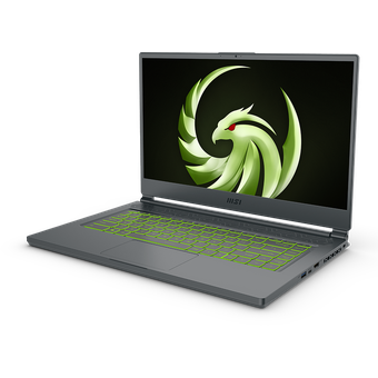 MSI Delta 15 AMD Advantage Edition, 15.6", R9 5900HX, 16GB/1TB [A5EFK 058]